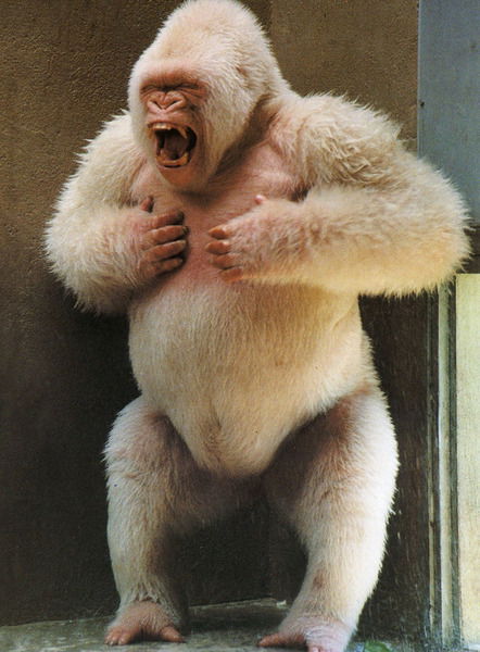 Андрей Иванов