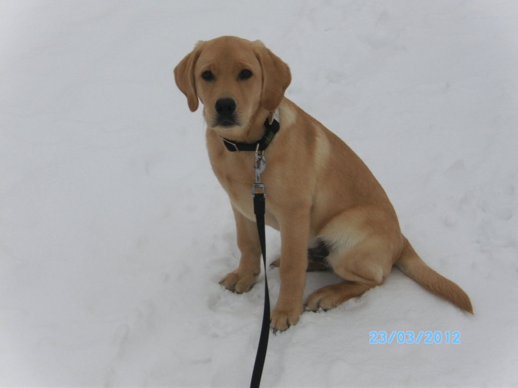 Иннa Варламова