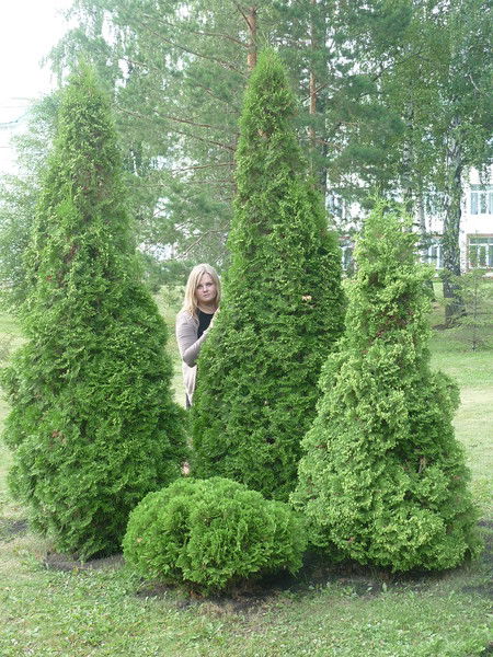 Елена Смолева