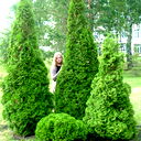 Елена Смолева