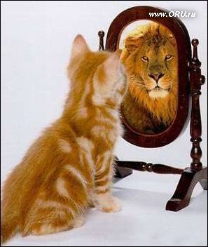 Оксана Высоцкая