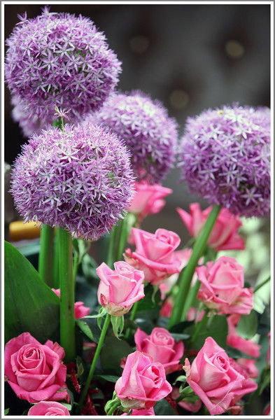 Ольга Орлик