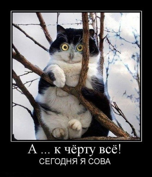 Инга Корнева