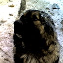 Виктор Ларин