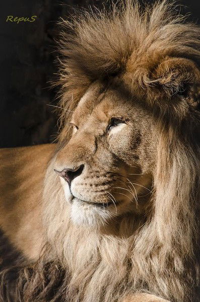 Екатерина Макарова