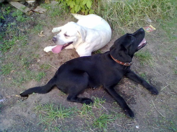 Настя Адиатулина