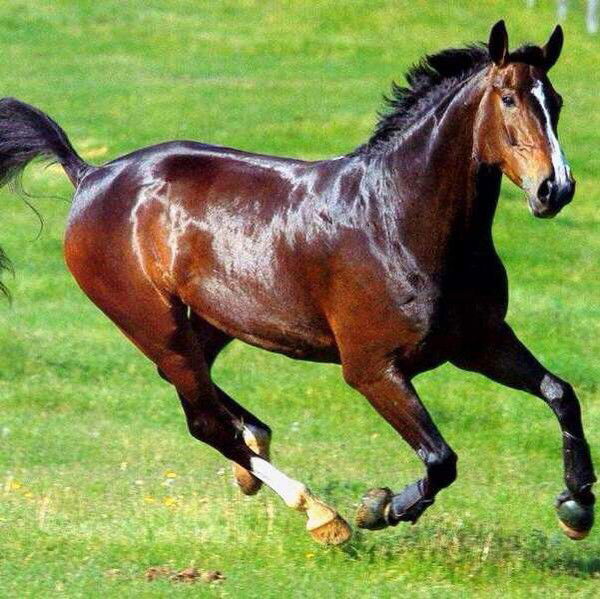 Берик Исмаилов