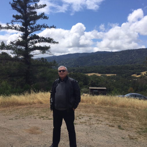 Низами Сулейманов