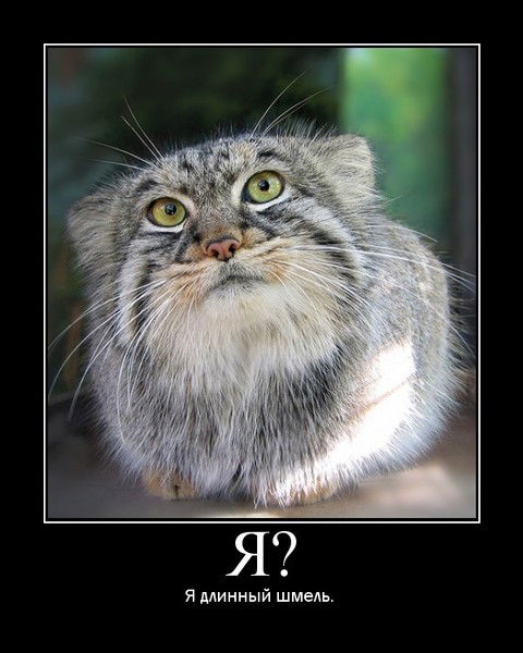 Александр Плотников