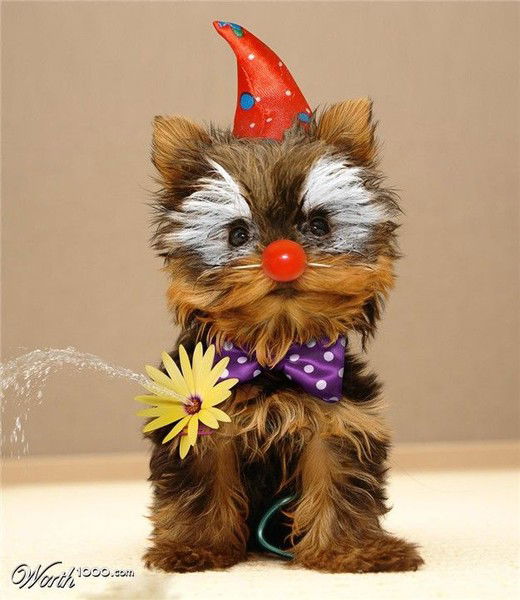 Светлана Насыбулина