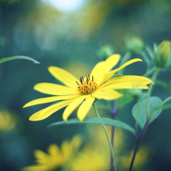 Наталья Хозяева