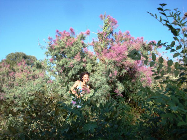 Наталья Седоплатова