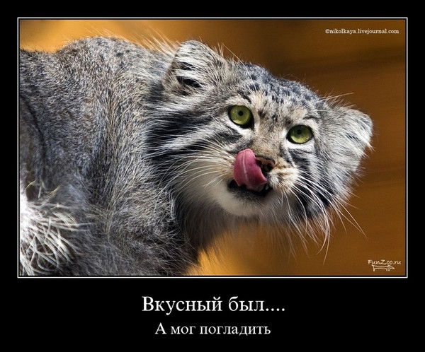 Марина Абрамова