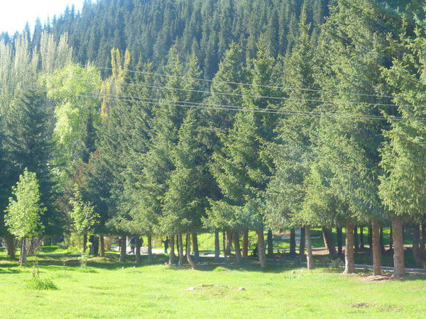 Супер Крутой