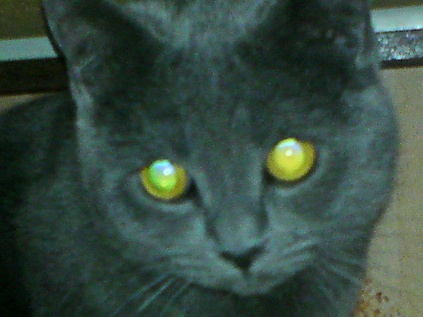 Вячеслав Трухин