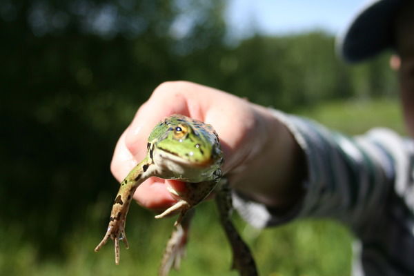 Артур Платонов