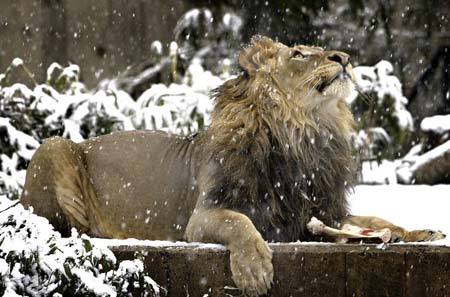 Сергей Бабичев