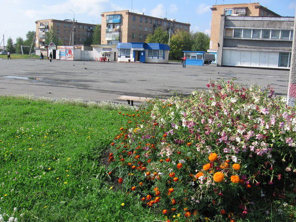 Алексей Матушкин