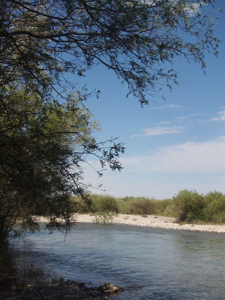 Евгений Фенский