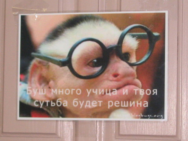 Дмитрий Шурыгин