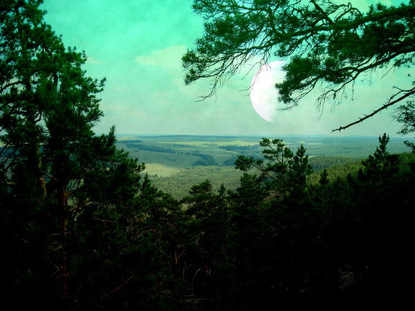 Андрей Дробышев