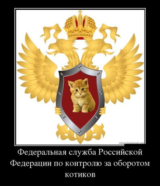 Денис Азатулин