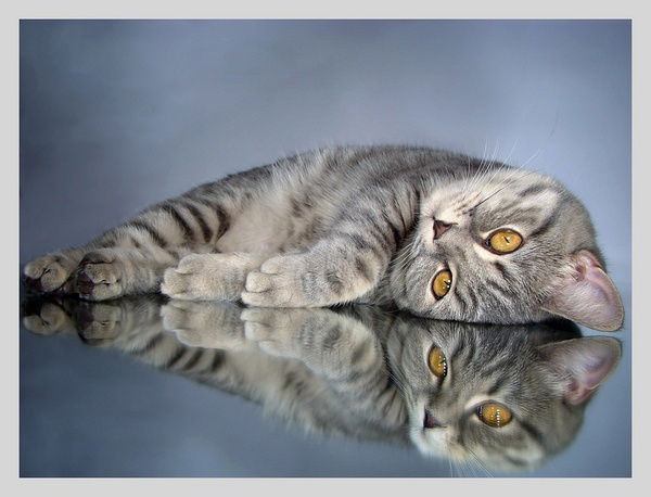 Любовь Шадрина