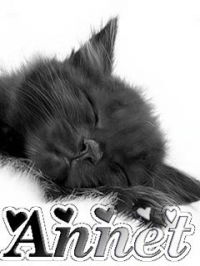 Анна Арешина