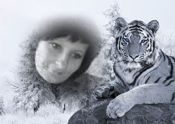 Наталья Бушуева