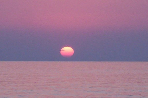 Николай Новиков