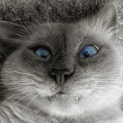 Александр Рождаев