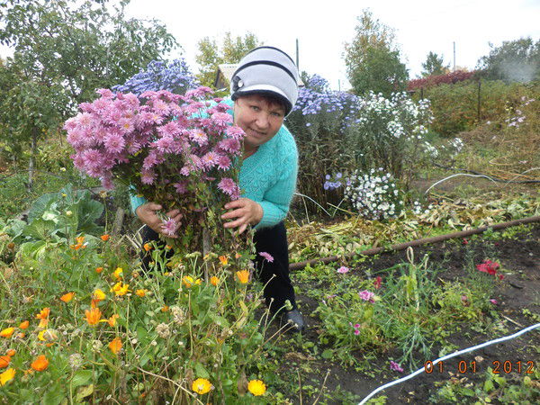 Нина Гайсарова