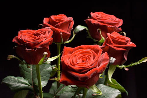 Роза Мизамбаева