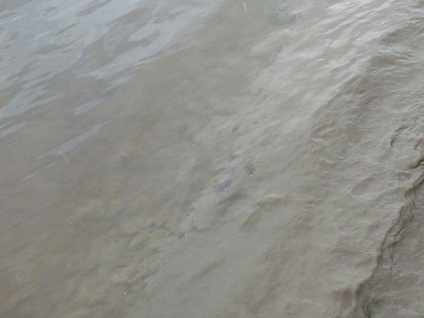 Роман Иванов