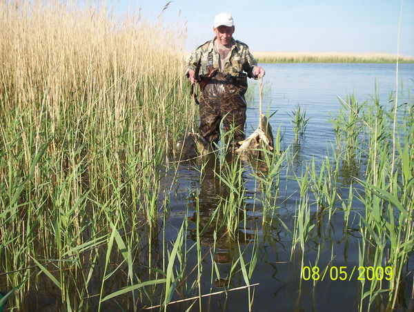 Владимир Чапурин