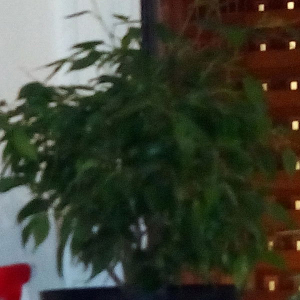 Дмитрий Глухов