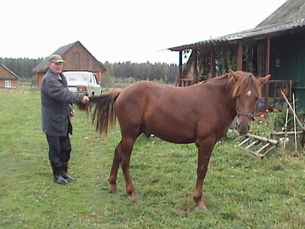 Виктор Петрикеев