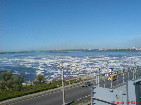 Михаил Авдощенко