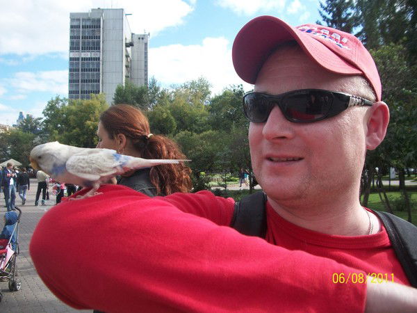 Андрей Гавшин