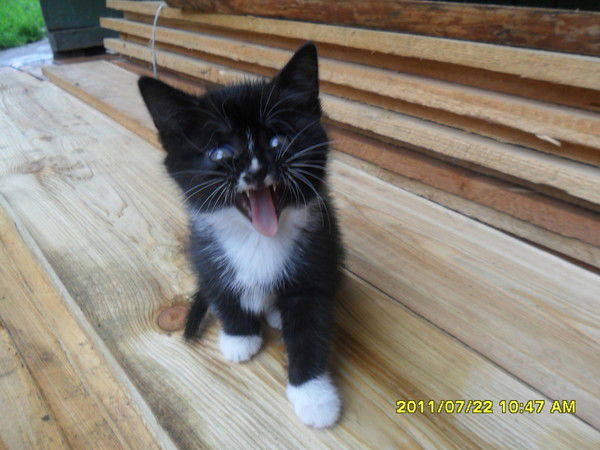 Дмитрий Кудлаев