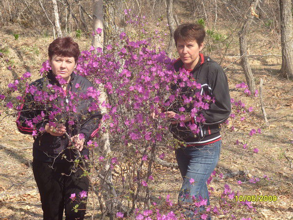 Елена Жевнева