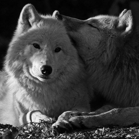 ))Нескажу))) )))