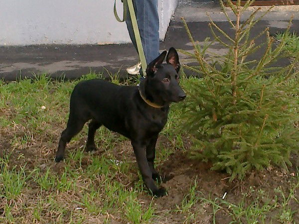 Ирина Васильева