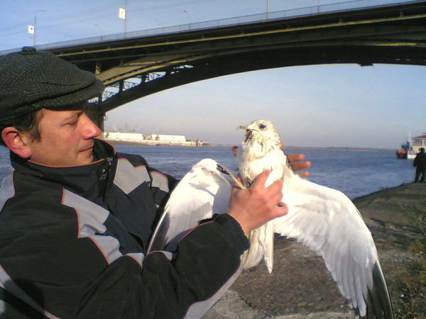 Саша Букарев