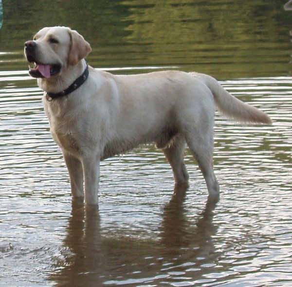 Александр Кузьмин