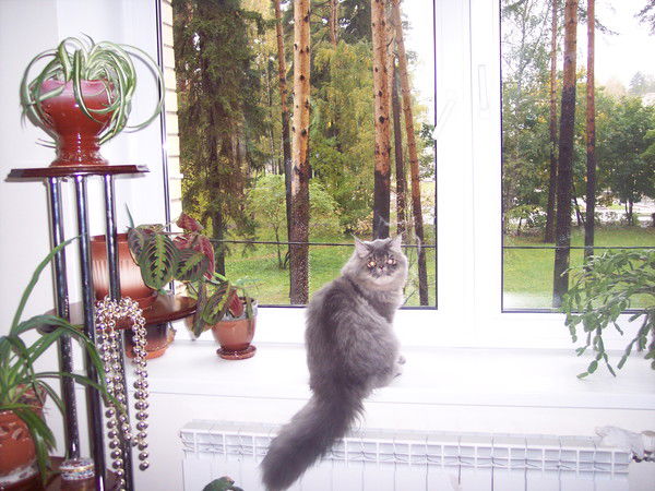 Татьяна Иванина