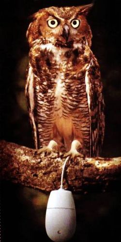 Никита Филин