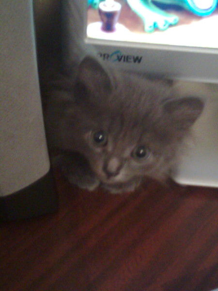 Ирина Рахимова