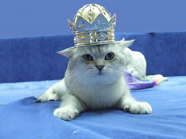 Павел Бельков