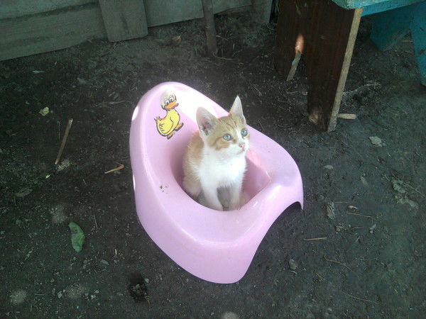 София Спириденко